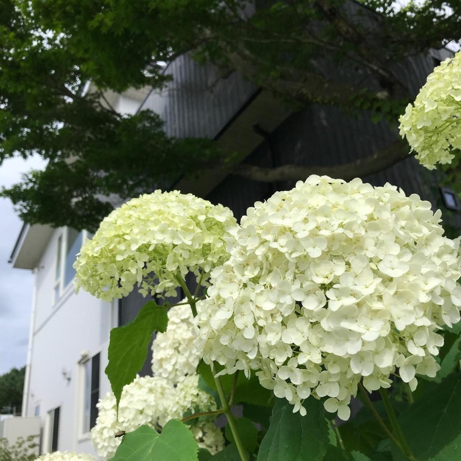 Sweet Villa Takasama - Vacation Stay 11775 Fudzsijosida Kültér fotó