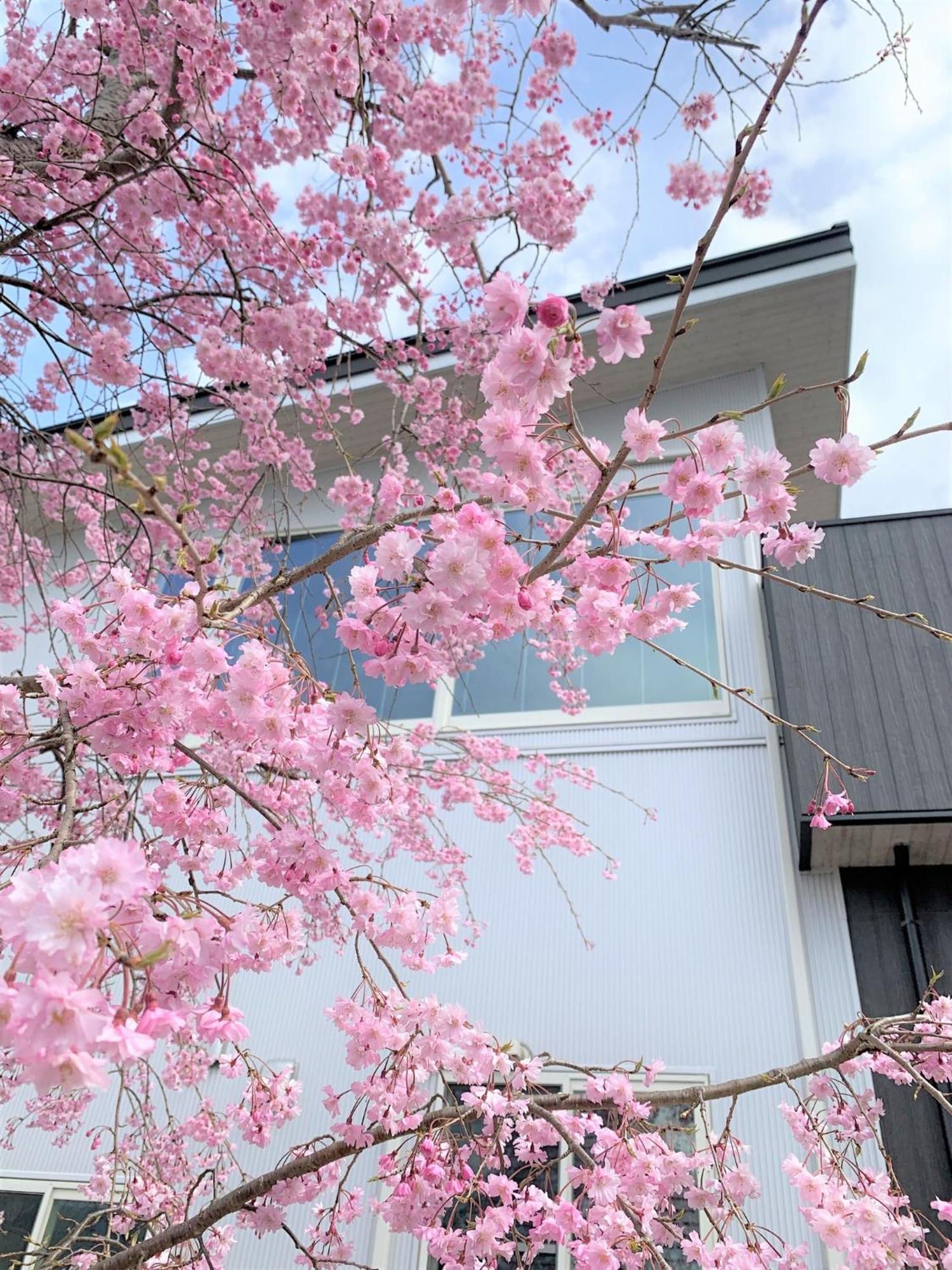Sweet Villa Takasama - Vacation Stay 11775 Fudzsijosida Kültér fotó